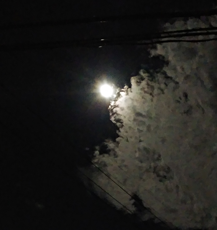 お月見