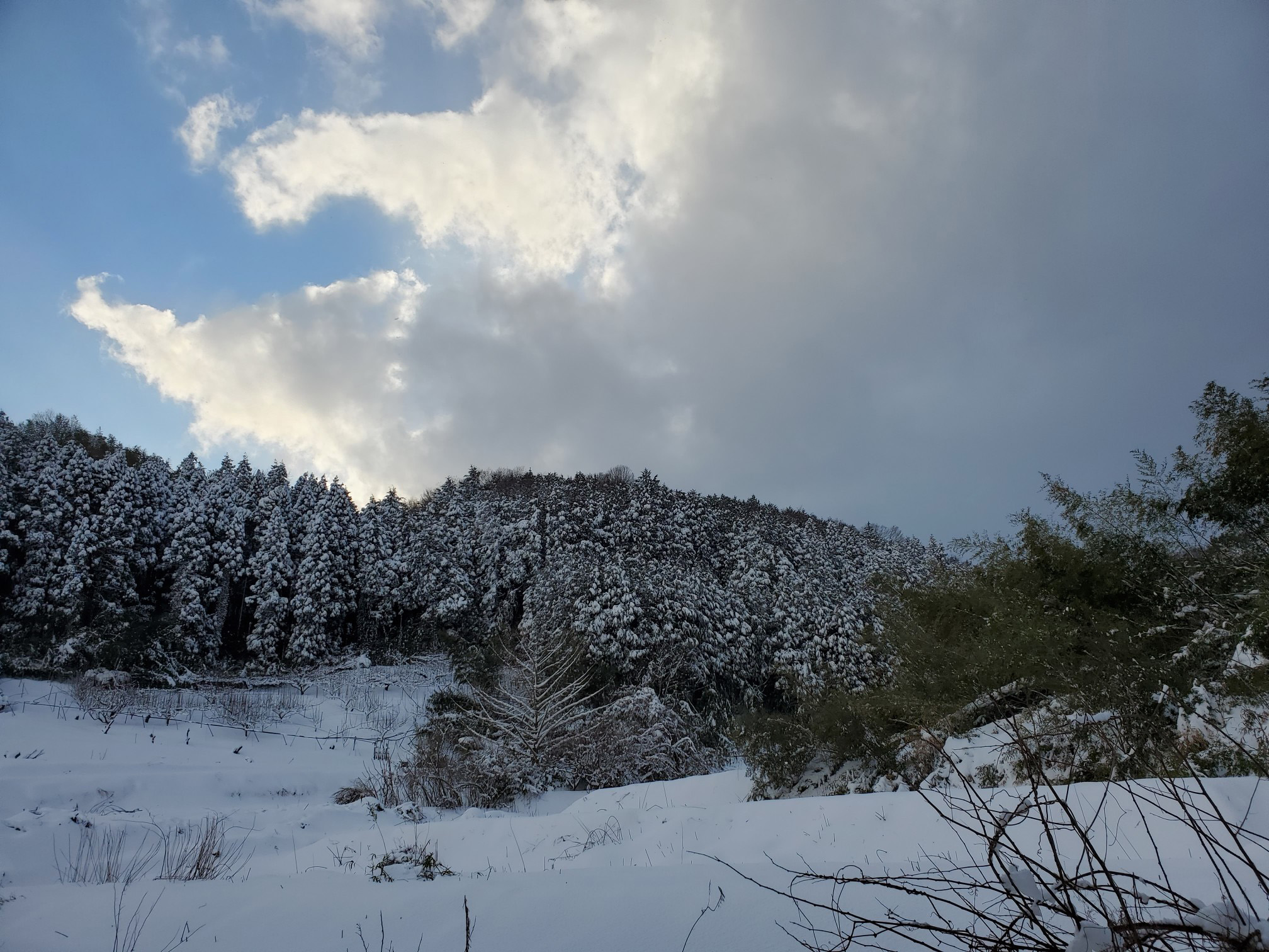 雪景色