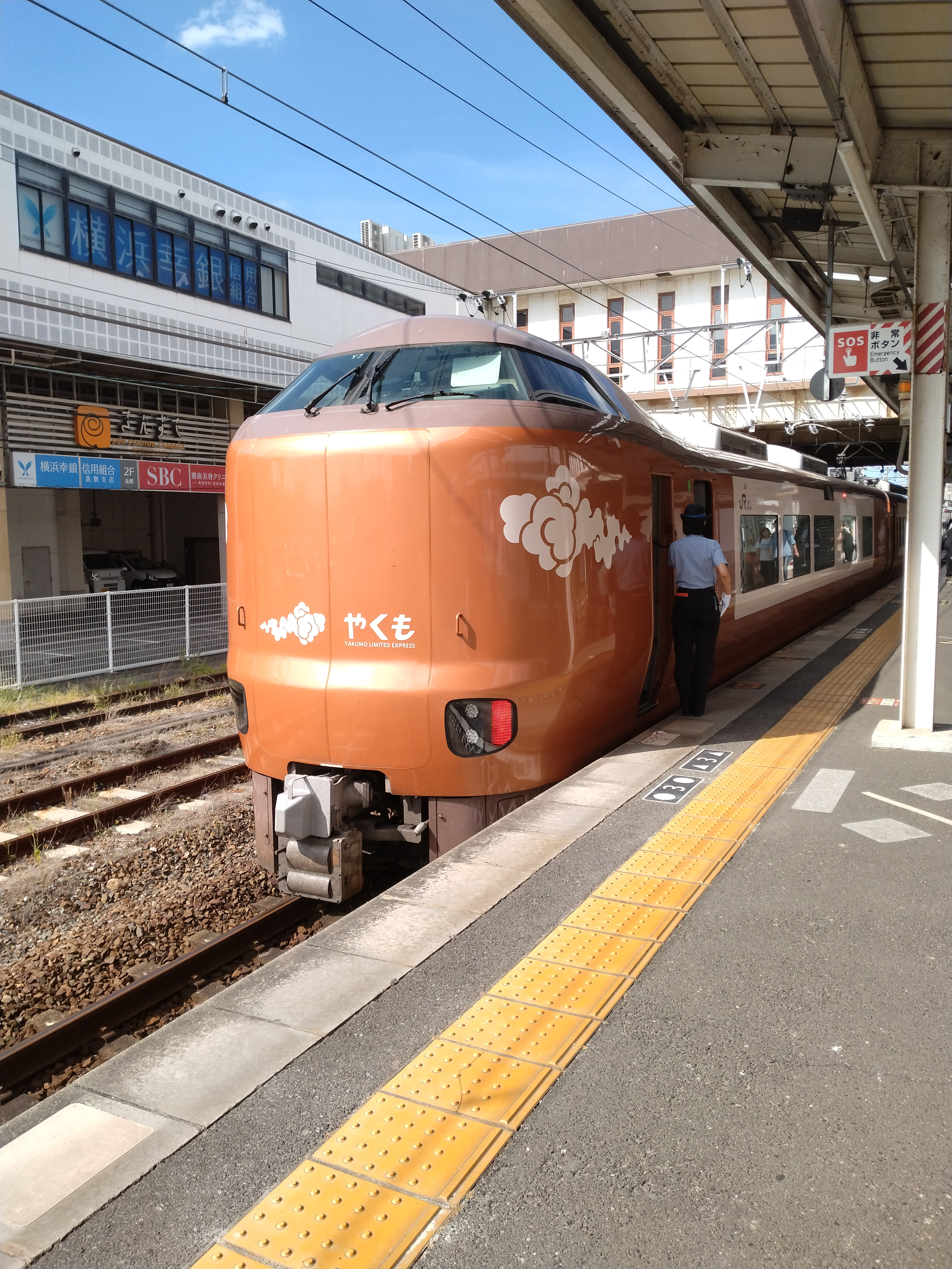 写真1